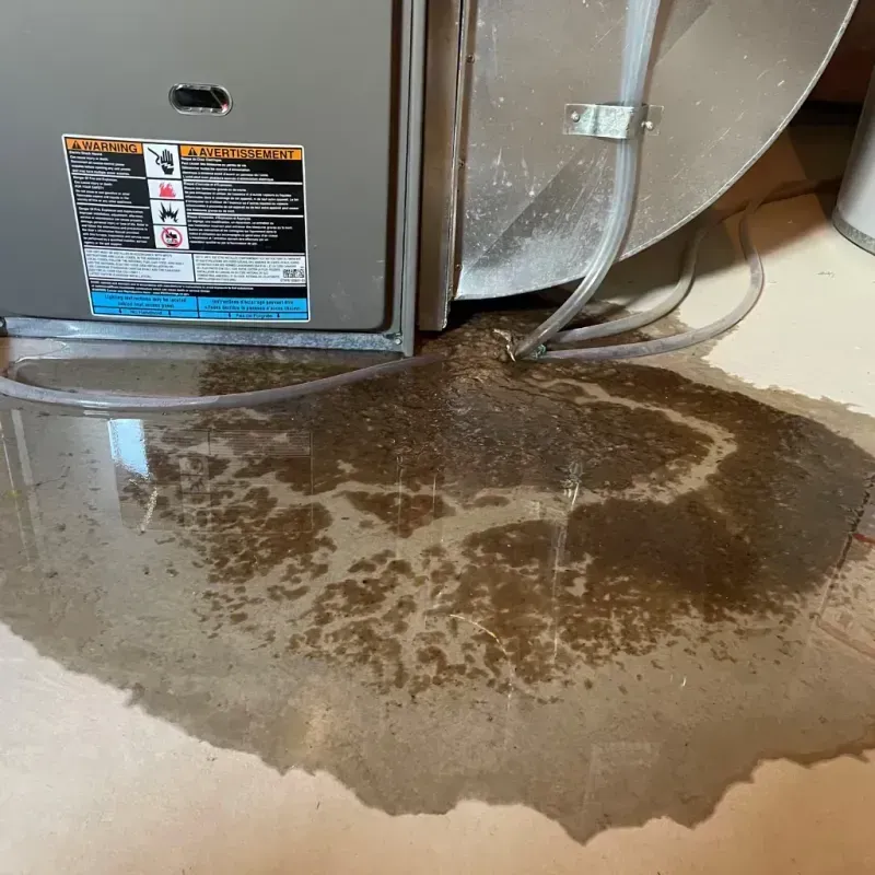 Appliance Leak Cleanup in Houston County, AL